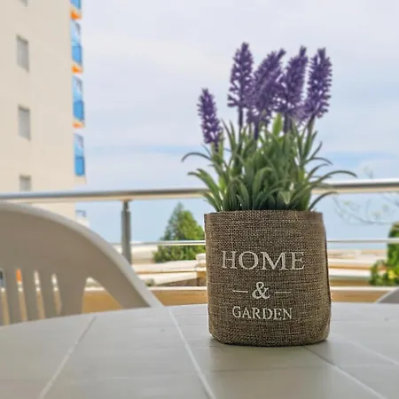 Апартаменты Excelsior Sunny Солнечный берег